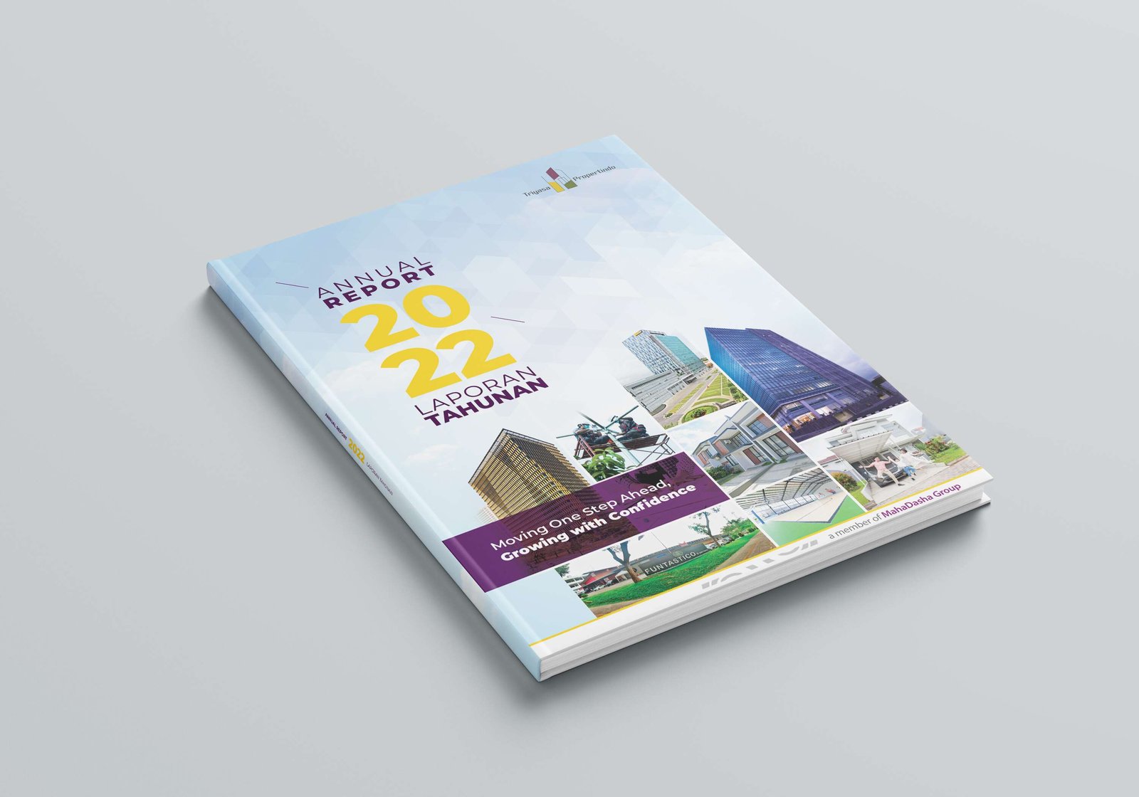 Annual Report Project 1