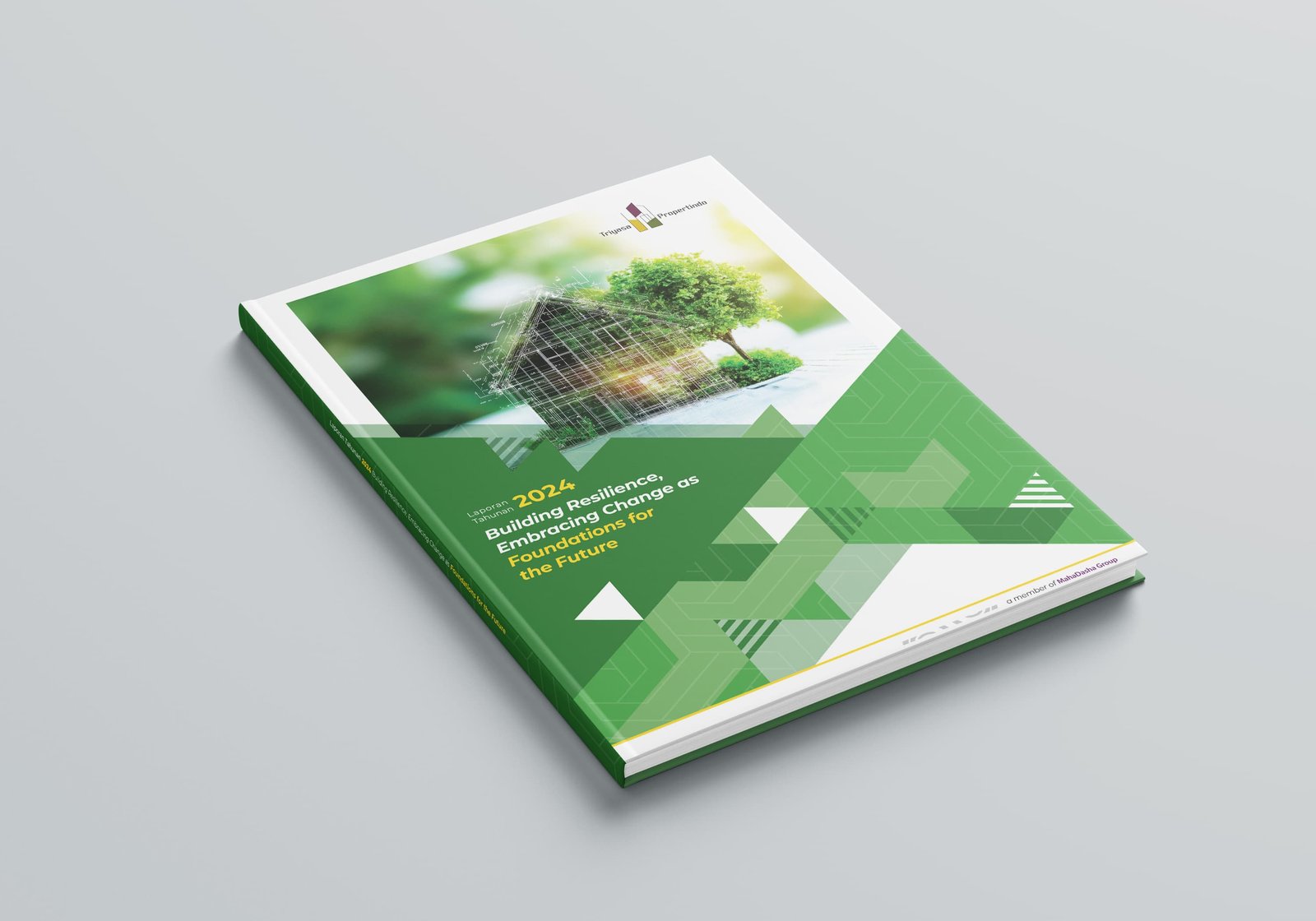 Annual Report Project 3